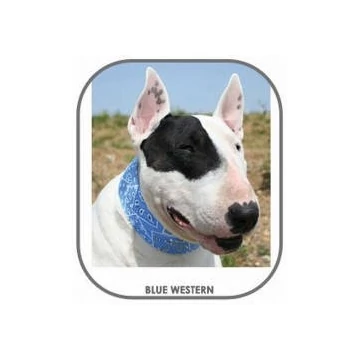 Aqua Coolkeeper Cooling collar - hűtőnyakörv (kék) kutyák részére (3XL) 60-70cm/9cm
