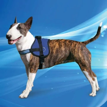 Aqua Coolkeeper Survival Hám L