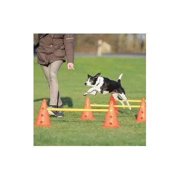 Trixie Sporting Obstacle Set - agility akadály (ugró akadály) kutyák részére (Ø23cm x 30/78cm)
