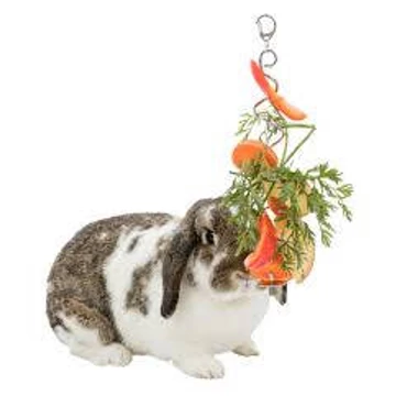 Trixie Fruit Holder - gyümölcs tartó (krómozott fém) 25cm