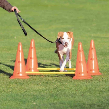 KT26.Trixie Sporting Obstacle Set - agility akadály (ugró akadály) kutyák részére (Ø30cm x 50/100cm)
