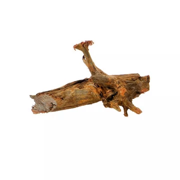 AquaEl Mangroove decor Medium - Akvárium dísz (Mangrove gyökér) Medium