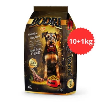 Akciós Túltöltött Bodri Adult (bárány) - Száraztáp felnőtt kutyák részére (10+1kg)
