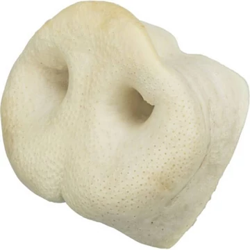 Trixie Pig Snout - jutalomfalat (orrkorong) "L"