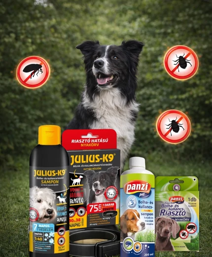 Kullancs riasztó kutyáknak
