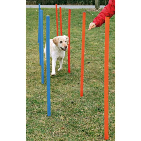 trixie 3206 Dog Activity játék Agility szlalom 12db 115x3cm