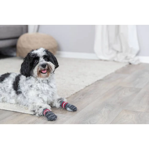 Trixie Dog Socks - kutyazokni (szürke) XS-S (2cs)