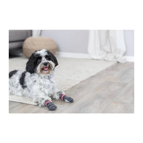 Trixie Dog Socks - kutyazokni (szürke) M-L (2cs)