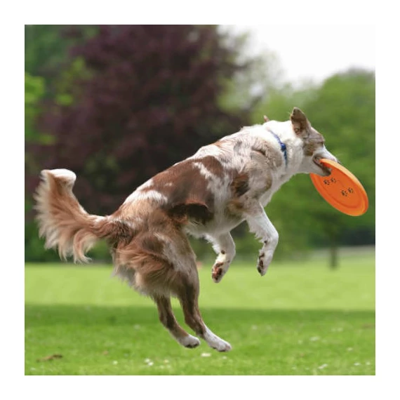 Trixie Dog Disc - robosztus játék (frizbi) kutyák részére (Ø23cm)