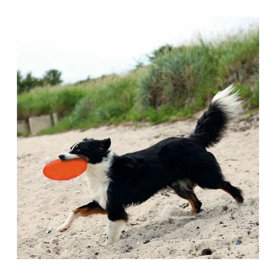 KT26.Trixie Dog Disc - termoplasztikus gumi játék (frizbi) kutyák részére (Ø22cm)