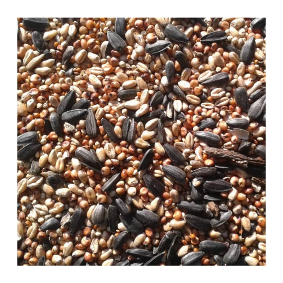 Trópus Téli Vadmadár magkeverék (10 kg)
