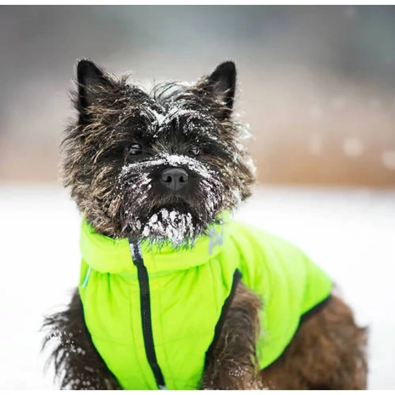 AiryVest kutyaruha kifordítható, XS 22, zöld-fekete