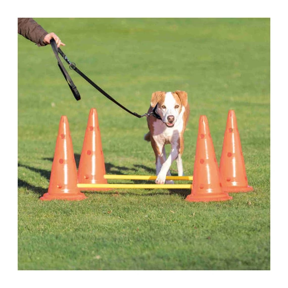 KT26.Trixie Sporting Obstacle Set - agility akadály (ugró akadály) kutyák részére (Ø30cm x 50/100cm)