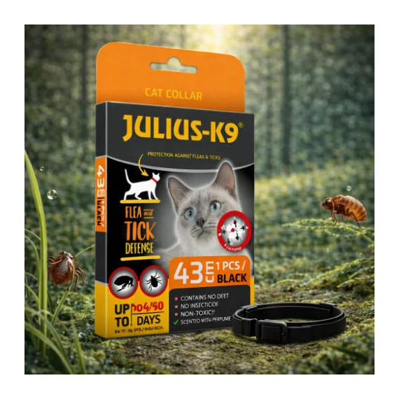 Julius-K9 Cat Collar - Bolha-, kullancs riasztó nyakörv (fekete) macskák részére (43cm)