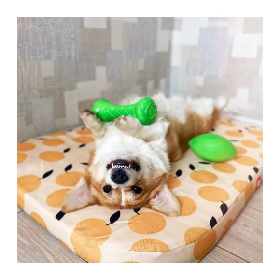 PitchDog Safe And Durable Barbell-Shaped Dog Toy - játék (súlyzó,lime) kutyák részére (Ø7cm/19cm)