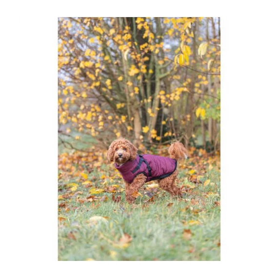Trixie Pirou téli kabát hámmal, XXS:24 cm, sangria