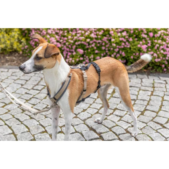 Trixie Stay Panic-adaptor for harnesses, (szökésbiztos) hámhoz csatlakoztatható védelem - fekete, M–L: 46–72 cm/20 mm