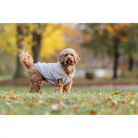 Trixie Carson Hoodie - pulóver (homok) kutyák részére (S) 36cm