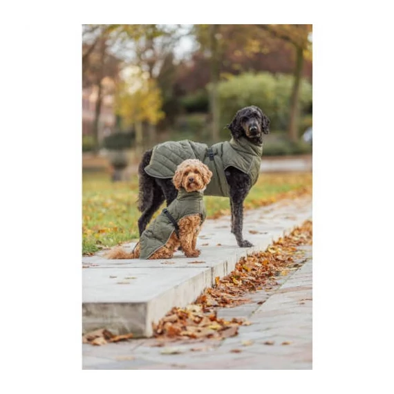 Trixie Minot Dog Coat - kabát (olívazöld) kutyák részére (XL) 74-98cm