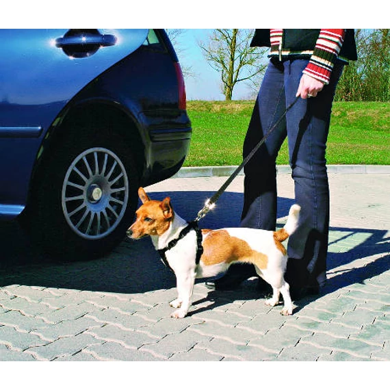 Trixie Car Harness - biztonsági öv kutyák részére - XS - (20-50cm/15mm)