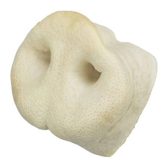 Trixie Pig Snout - jutalomfalat (orrkorong) 