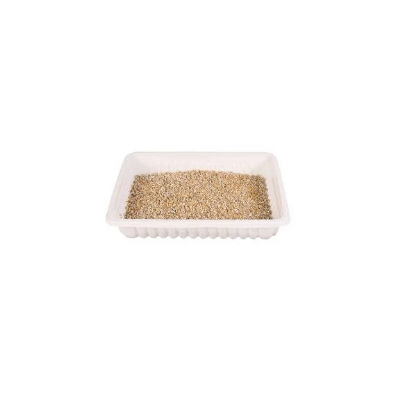 Trixie CatGrass Refiller Bio - Macskafű utántöltő (100g)