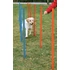 trixie 3206 Dog Activity játék Agility szlalom 12db 115x3cm