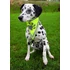 Trixie Safety Neckerchief - Fényvisszaverős kutyakendő S-M (29-42cm)