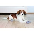 Trixie Dog Socks - kutyazokni (szürke) L (2cs)