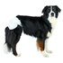Trixie Diapers for Female Dogs - pelenka nőstény kutyák részére (M-L/12db)