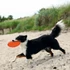 KT26.Trixie Dog Disc - termoplasztikus gumi játék (frizbi) kutyák részére (Ø22cm)