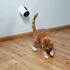KT25.Trixie Laser Pointer Moving Light - játék (lézeres mutató) macskák részére (11cm)