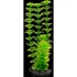 Tetra DecoArt Plantastics Ambulia (S) - Akváriumi műnövény dekoráció (Ambulia) 15cm