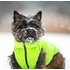 AiryVest kutyaruha kifordítható, XS 22, zöld-fekete