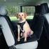 KT26.Trixie Protective Car Seat Cover, dividable - autós üléstakaró (hátsó ülésre,fekete) 1,45x1,60m