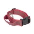 Julius K-9 ColorGray nyakörv fogóval és cserélhető felírattal (50mm), piros
