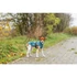 Trixie Dog raincoat Vimy - esőkabát (benzin) kutyák részére (M) 45cm