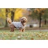 Trixie Carson Hoodie - pulóver (homok) kutyák részére (S) 33cm