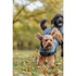Trixie Riom Dog Winter - télikabát (sötétkék) kutyák részére (XS) 25cm