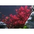 AquaEl Leddy Tube Plant- Univerzális LED akváriumvilágítás (17w) 101,5cm