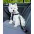 Trixie Car Harness - biztonsági öv kutyák részére - S - (30-60cm/20mm)