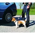 Trixie Car Harness - biztonsági öv kutyák részére - S - (30-60cm/20mm)