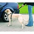 Trixie Car Harness - biztonsági öv kutyák részére - M - (50-70cm/25mm)
